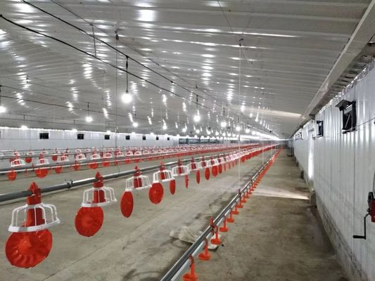 Construction en acier galvanisé Poule maison poulaillerie poulaillerie préfabriquée bâtiments de ferme sur mesure