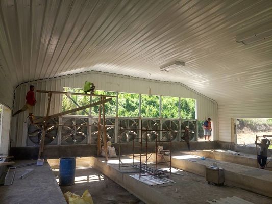 Structure en acier léger préfabriqué Poule maison revêtement galvanisé cadre en acier poulailler