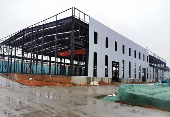 Crane aérienne personnalisée 1 - 20 tonnes