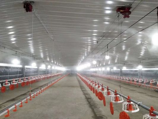 Structure en acier galvanisé préfabriqué maison de volaille maison de poulet poulailler résistant au feu
