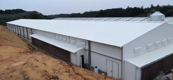 Structure d'acier de ferme personnalisée