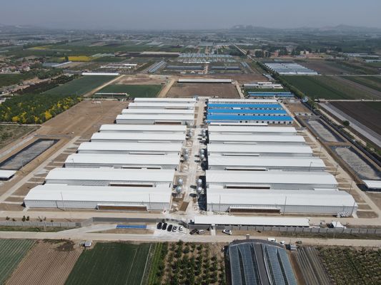 Édifices industriels en acier préfabriqués Poulaillerie sur mesure