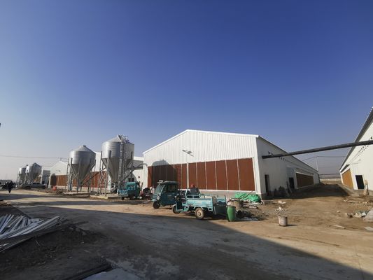 Anti-corrosif galvanisé entièrement antomatique élevage de volaille hangar d'oiseaux maison préfabriquée