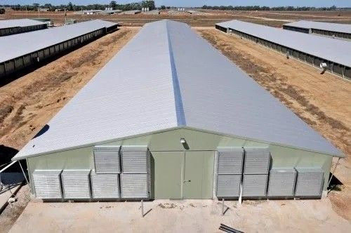 Structure modulaire en acier Maison de poulet Broiler Maison d'élevage Abri de volaille Bâtiment d'entrepôt préfabriqué