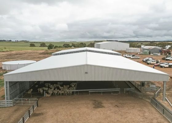 Murs ouverts Conçus à haute hauteur de grande hauteur en acier préfabriqué