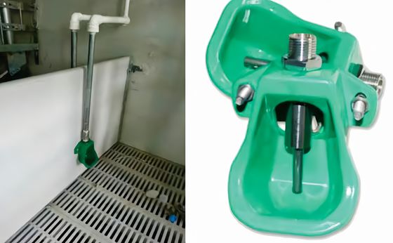 KXD Porc en acier inoxydable Tissus buveur équipement de porcherie Installation rapide