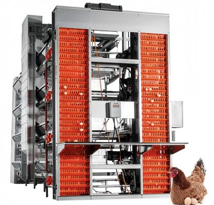 Un type de batterie couche poule cage automatique poulet élevage de volaille