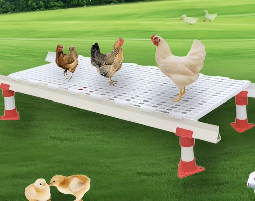 Plancher à lattes en plastique PP pour élevage de poulets de chair